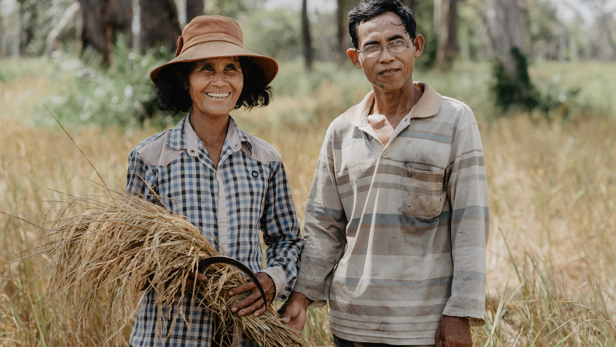 Inorganic Arsenic in Rice: How Dryland Rice Farming and Veganic Cultivation Help