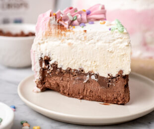 Vegan Ice Cream Cake - Slice Served