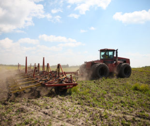 Sustainable plant-based farming