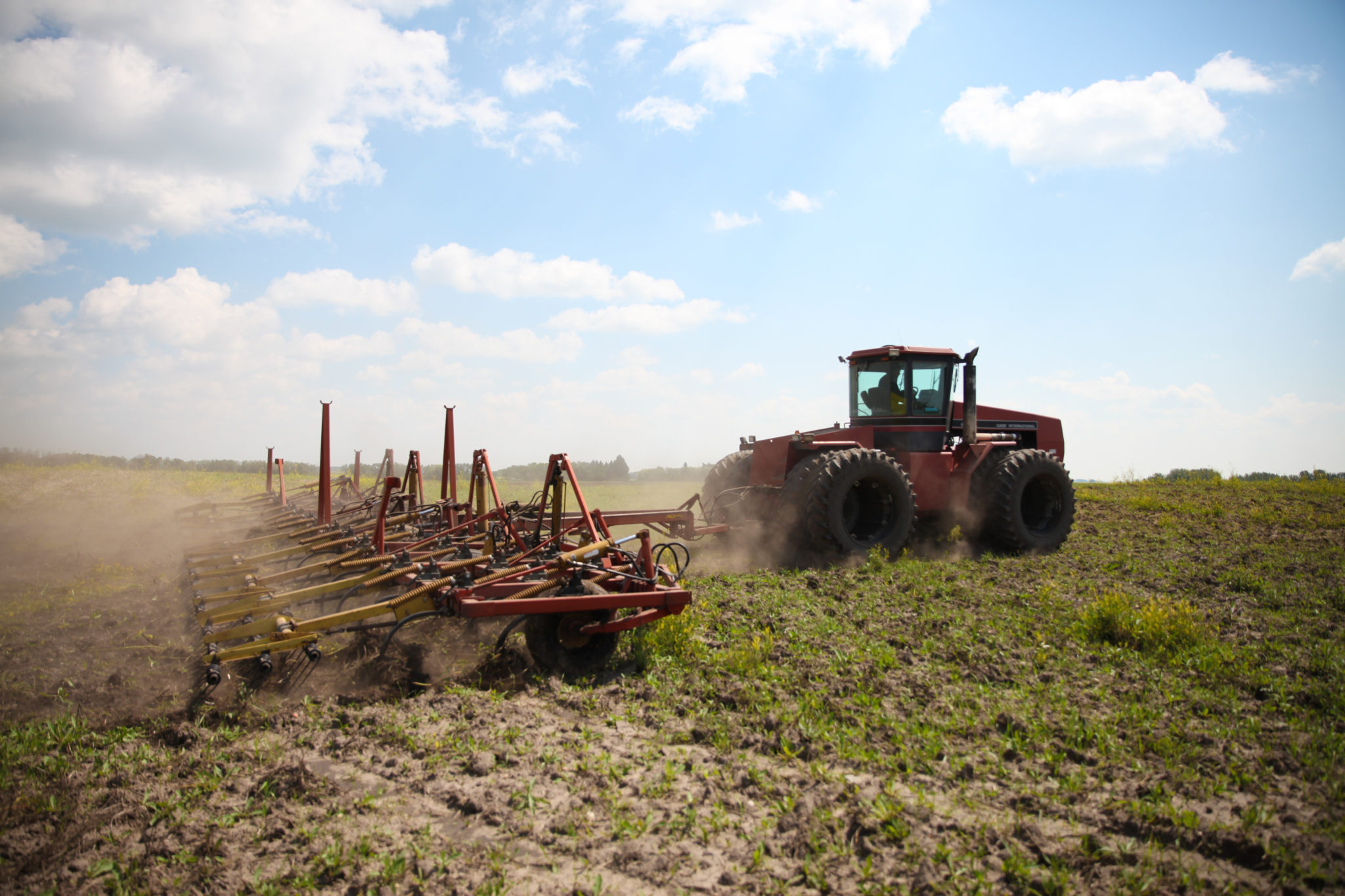 Sustainable plant-based farming