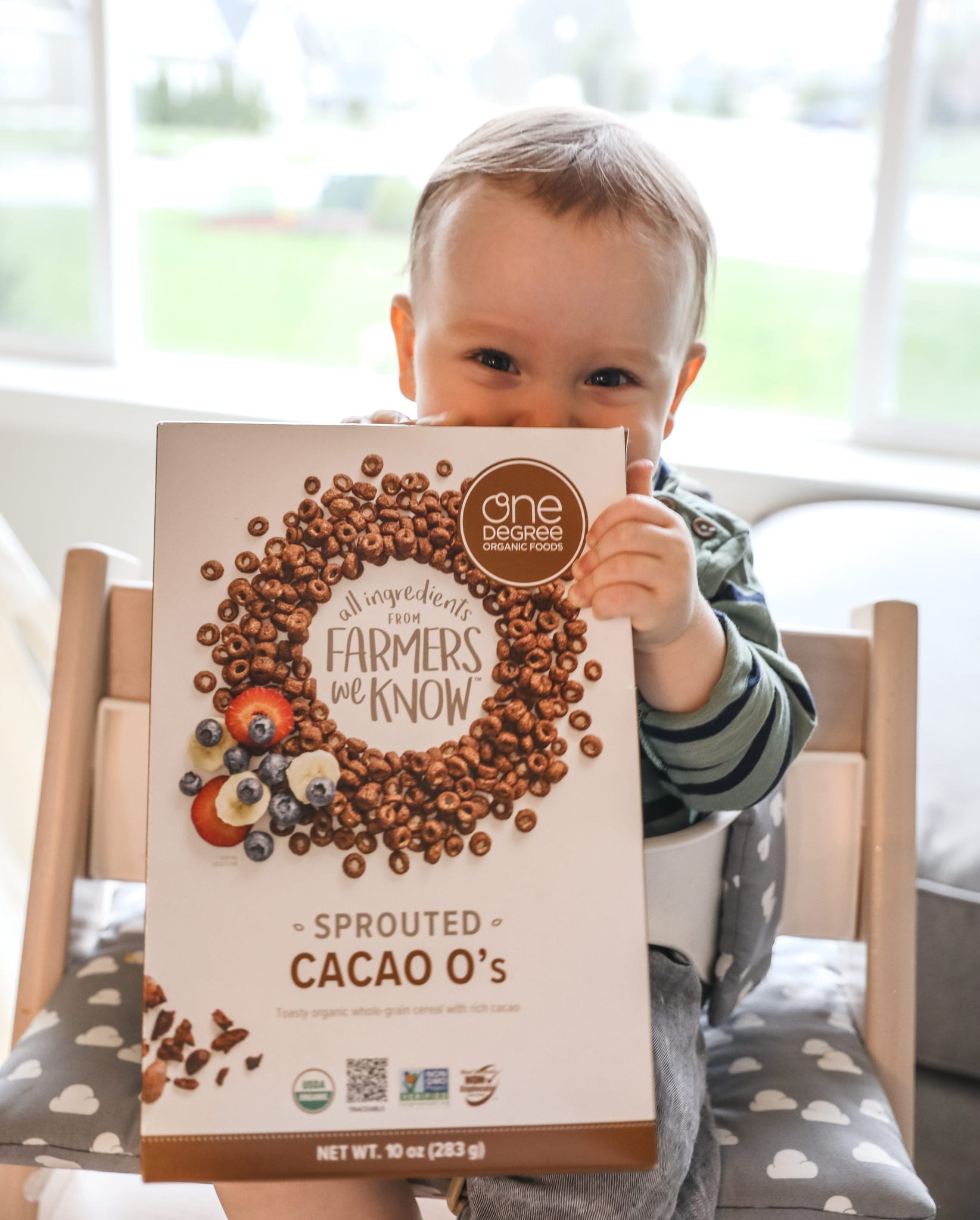 Sprouted Cacao O's Cereal Reviews from Moms Meet