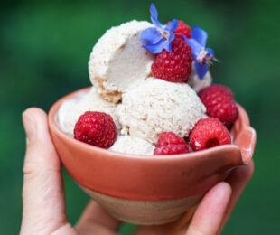 Vegan Vanilla Oat Ice Cream